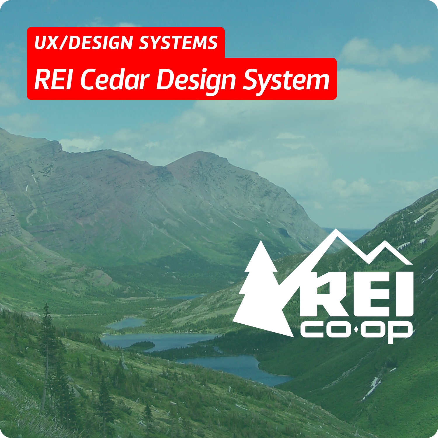 REI – Cedar Design System